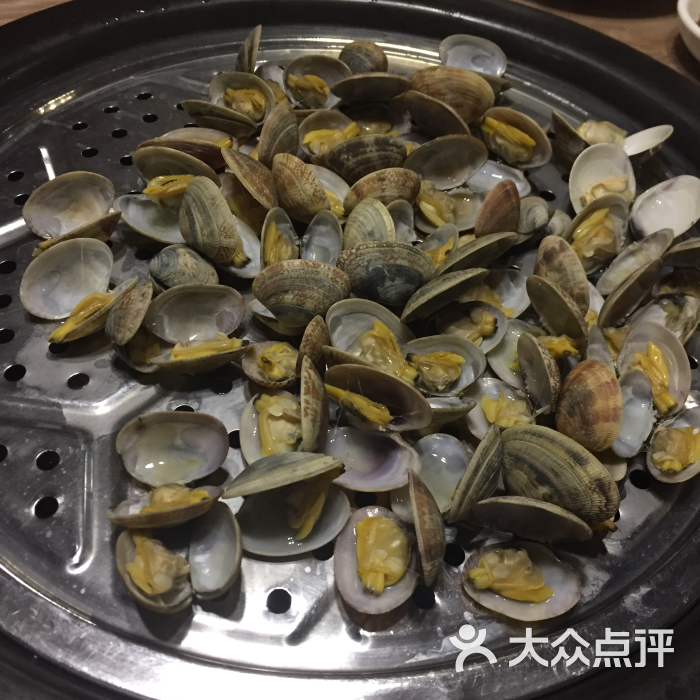 桂山蚬