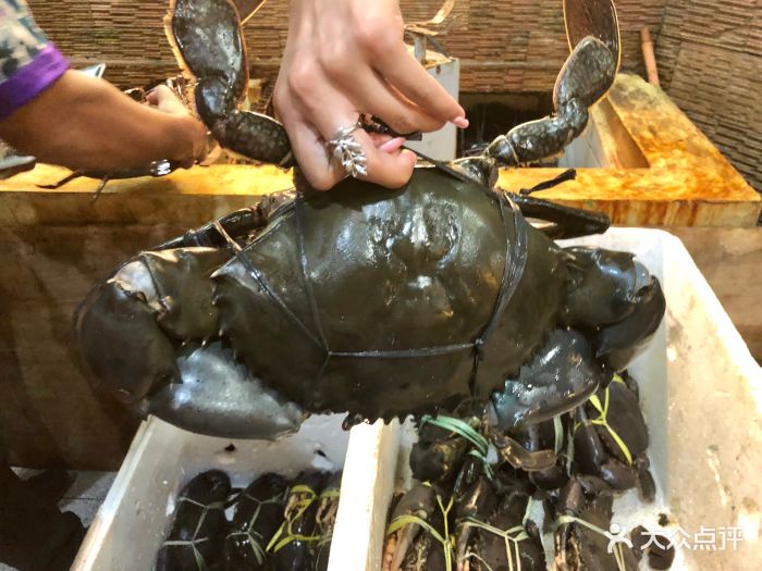 wisata bahari seafood restaurant超大螃蟹图片 - 第326张