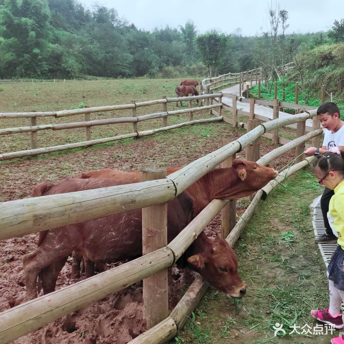 五谷地度假农场-图片-重庆亲子-大众点评网