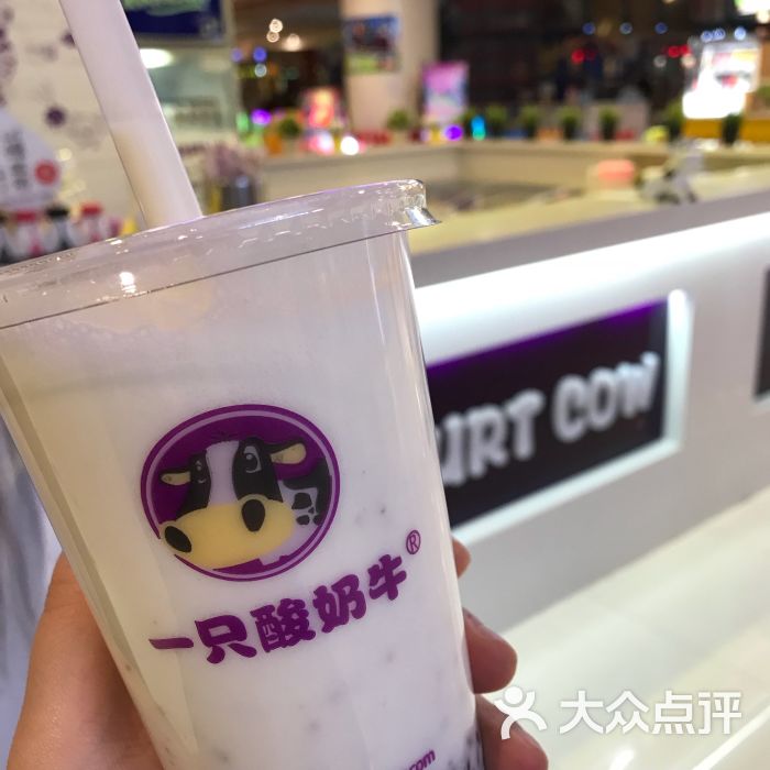 一只酸奶牛(解放碑八一路店)-图片-重庆美食-大众点评