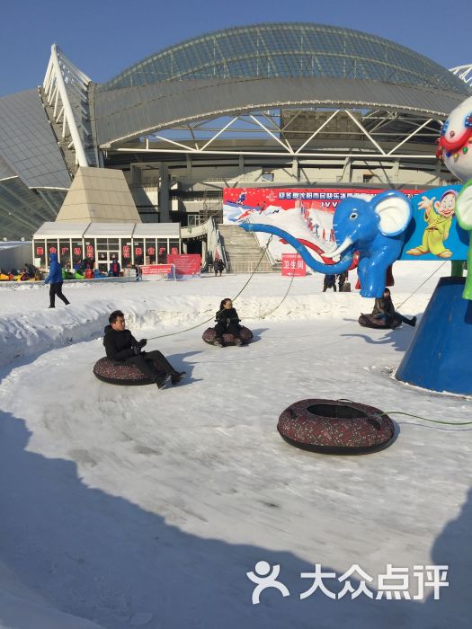 沈阳奥体冰雪嘉年华图片 第97张