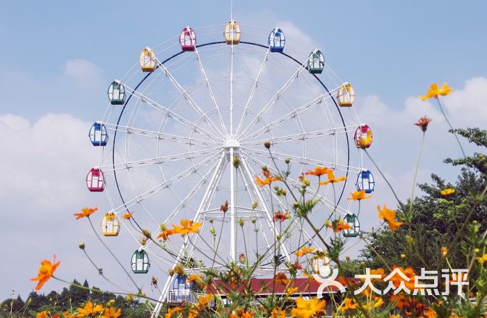 梦里水乡百花园图片 - 第11张