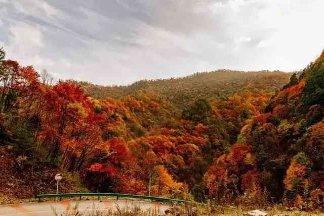 黄柏塬原生态风景区-"黄柏塬风景区位于陕西省宝鸡市.