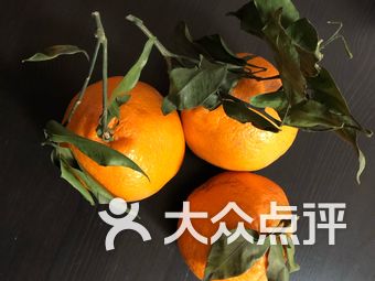 古文化街附近美食饭店 so79fAfLnNjRnpT2VYKw6HSYmSpQ9phLfaV5I98Y-3loBi-EqPUR7-9iHAYTHY1ls9bU8u7TlyVW3ovyQ7Jtmw.jpg