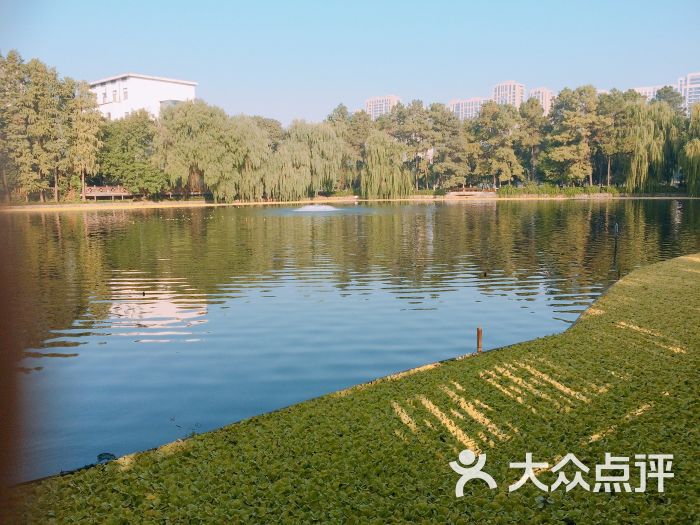 浙江大学(华家池校区)图片 第4张