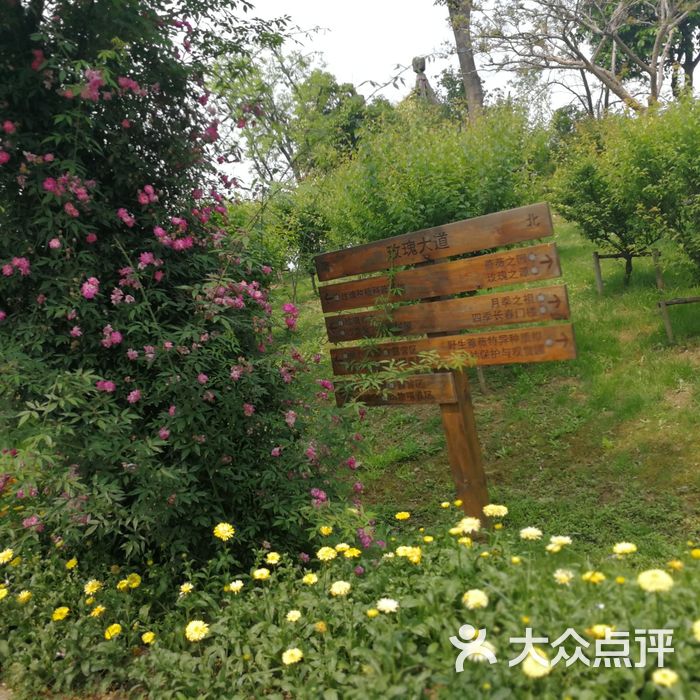 鹅湖玫瑰文化园