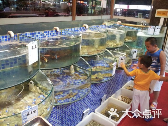 哪里有海鲜大餐_回龙观北四村规划图_回龙观哪里有海鲜池(3)