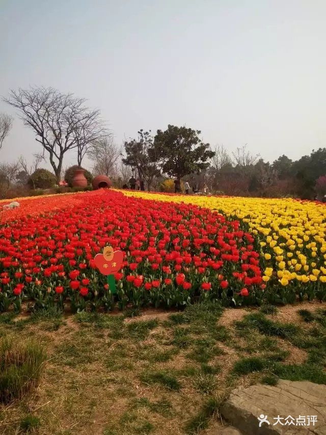 日照植物园图片 - 第5张