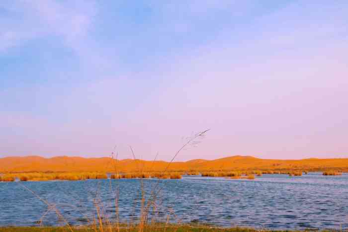 阿拉善腾格里沙漠天鹅湖旅游景区