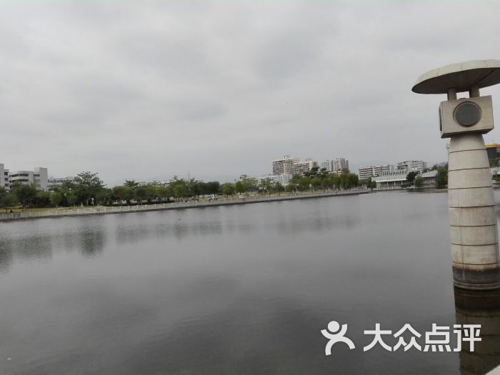 杏东公园图片 - 第13张