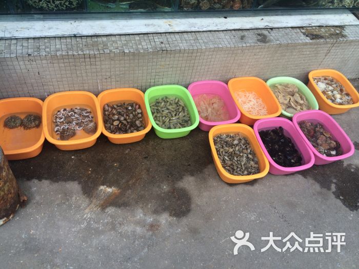 海鲜排挡广告_海鲜大餐_海鲜排挡图片(2)