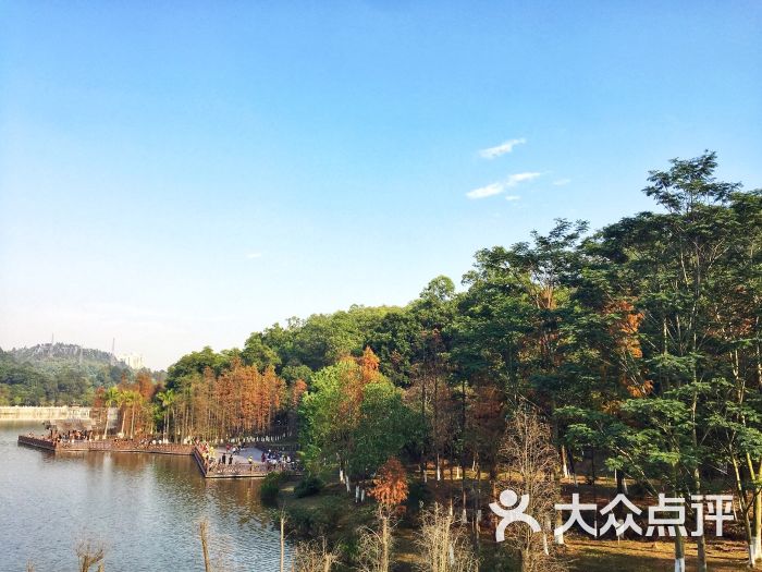 番禺大夫山森林公园旅游区图片 - 第4张
