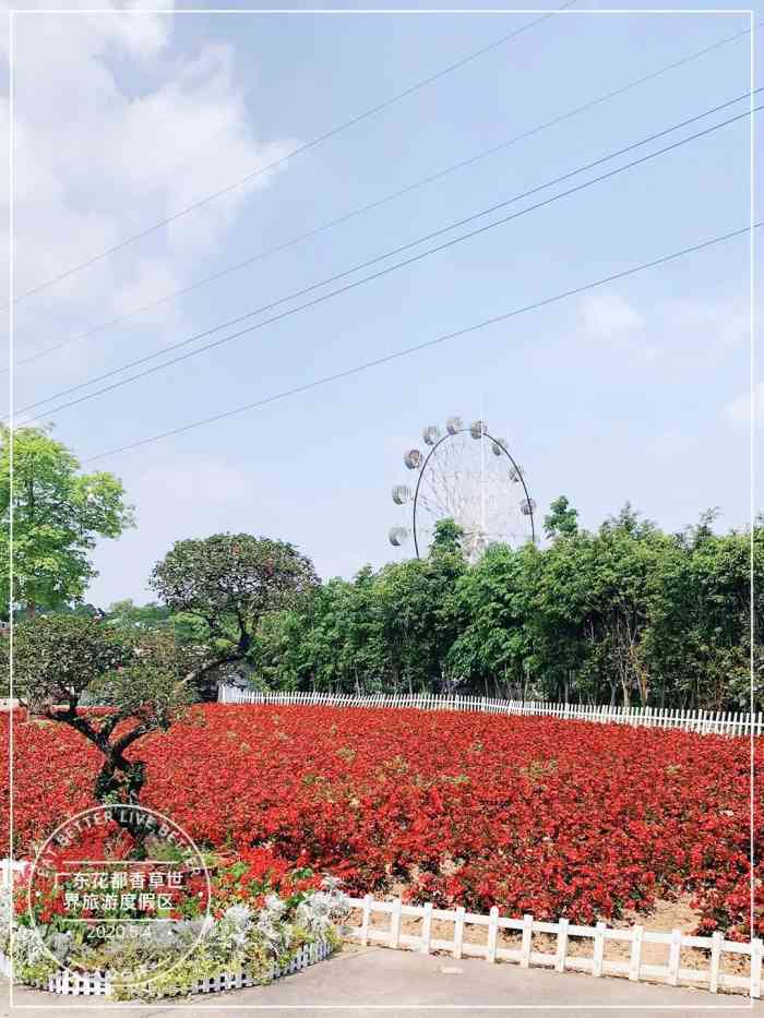 广东花都香草世界旅游度假区