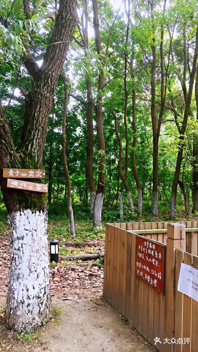 环境没话说,美美美!人均偏高!适合一家,.-呼吸