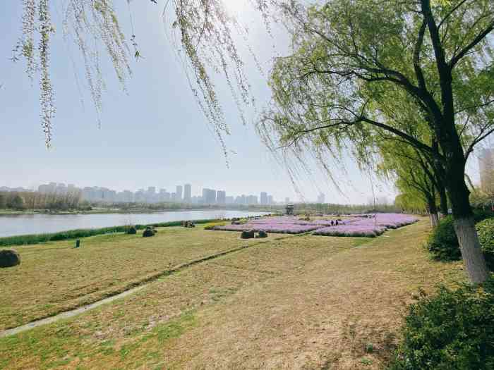滨湖塘西河公园-"如果想去沙滩,也就是网红小马尔代夫,提前.