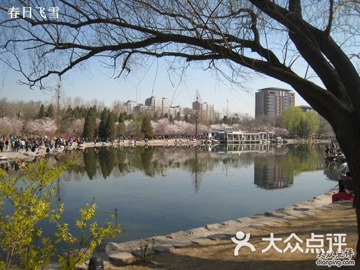 玉渊潭公园