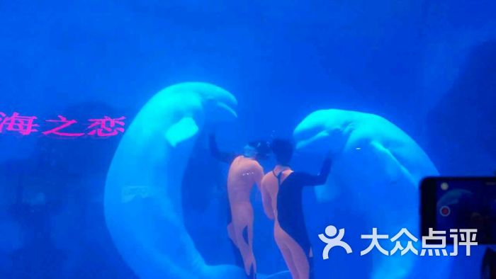 天津海昌极地海洋公园-下雨有个好心情的相册