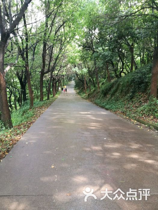 何山公园图片 - 第50张