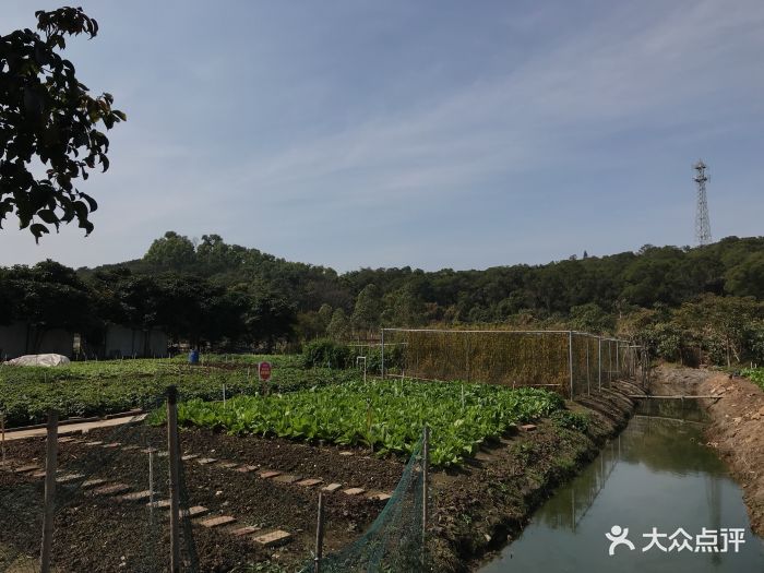 绿野仙踪生态农庄图片