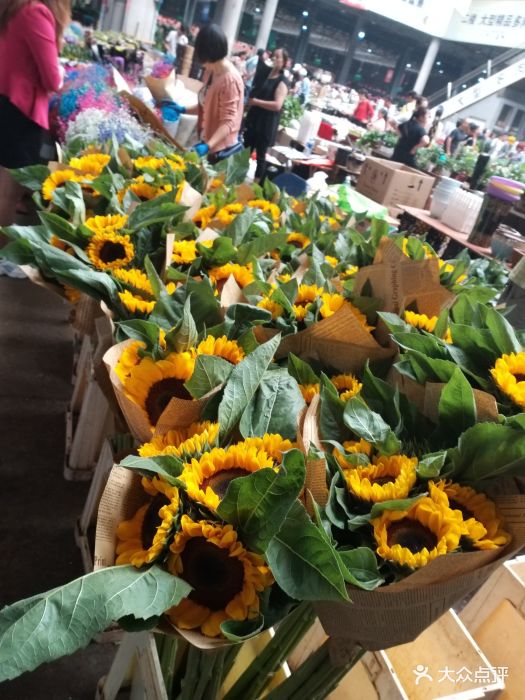 斗南花市图片 - 第83张