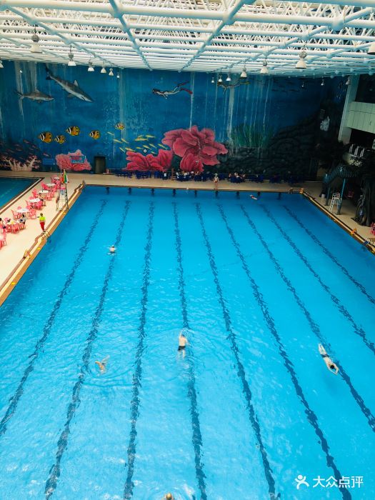 今天的海帝只能用4个字形容冻死个人来过无.