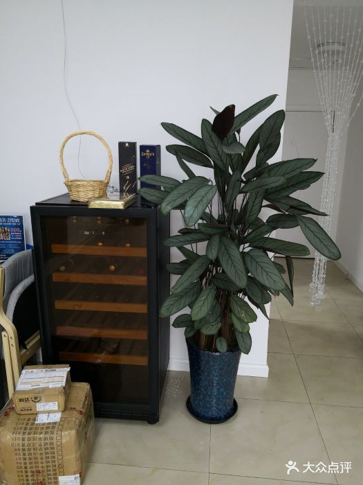 私人生活馆精油做v脸+颈部淋巴排毒手法比较