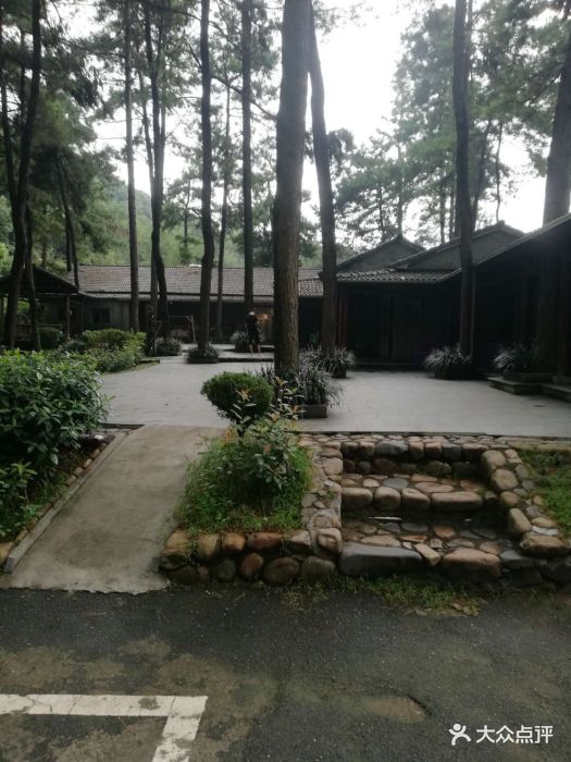 松林休闲山庄·农家菜-图片-安吉县美食-大众点评网