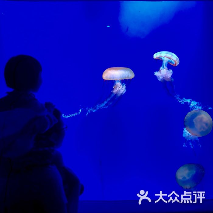 欢乐海岸海洋奇梦馆