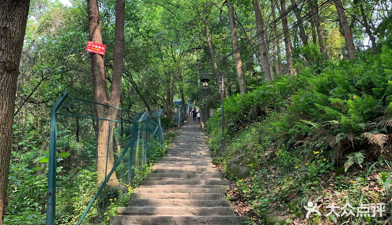 黄葛古道是重庆知名度最高的一条古道,有着800年历史