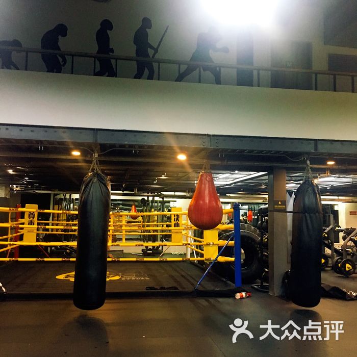 金手套拳击馆golden gloves boxing gym