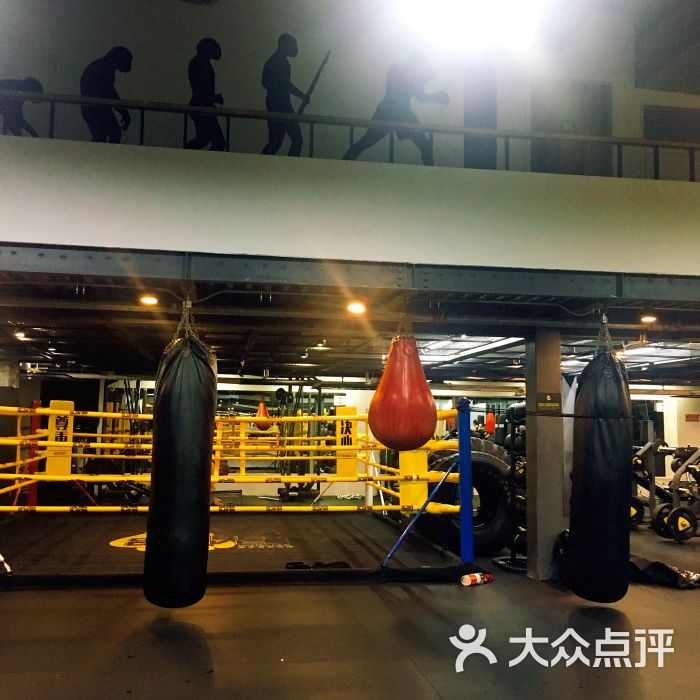 金手套拳击馆golden gloves boxing gym图片 - 第3张