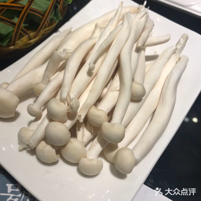 紫龙火锅(工体店)海鲜菇图片