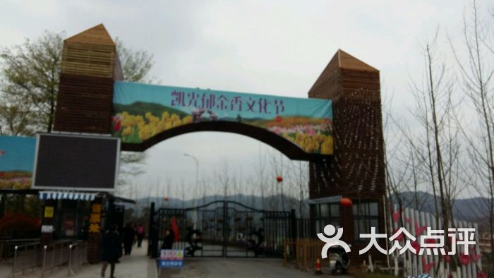 凯光新天地新余亚热带植物园图片 - 第40张