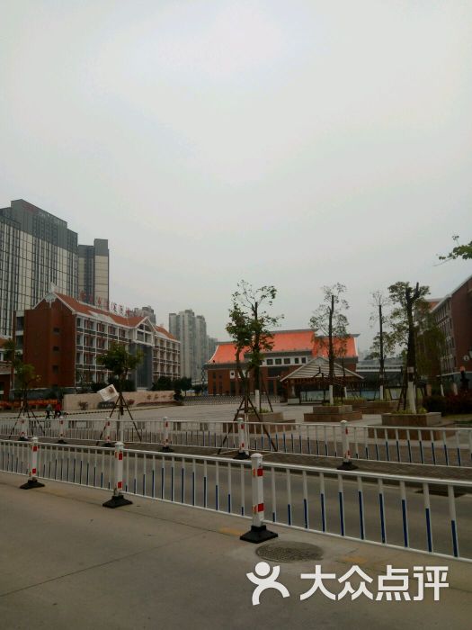 杏东中学-图片-厦门学习培训-大众点评网
