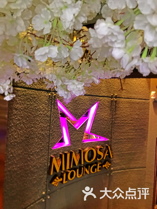 mimosa lounge-图片-太原休闲娱乐-大众点评网