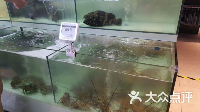 盒马鲜生(大宁店)-图片-上海购物