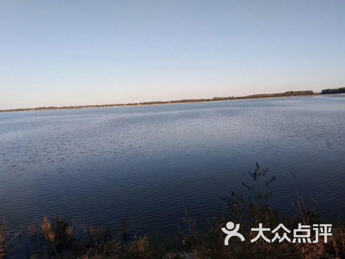 珍珠湖湿地自然保护区-图片-新民市周边游-大众点评网