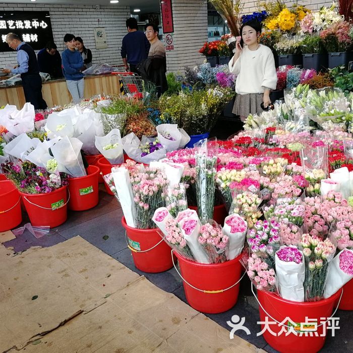 朝阳花卉市场停车场图片-北京停车场-大众点评网