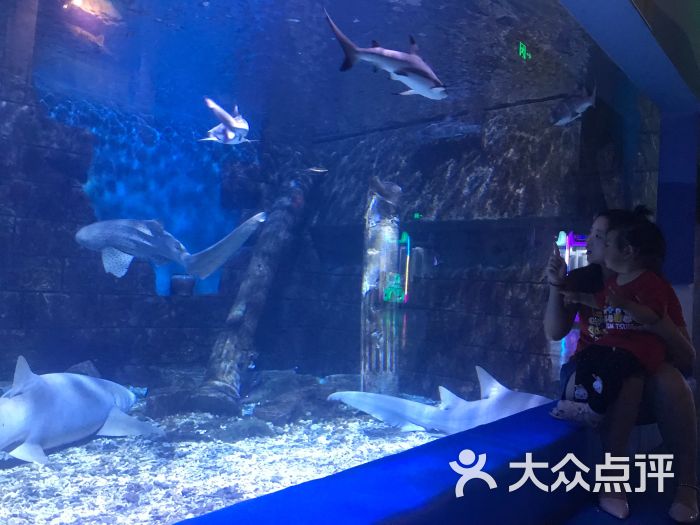 徐州水族展览馆图片 第2张