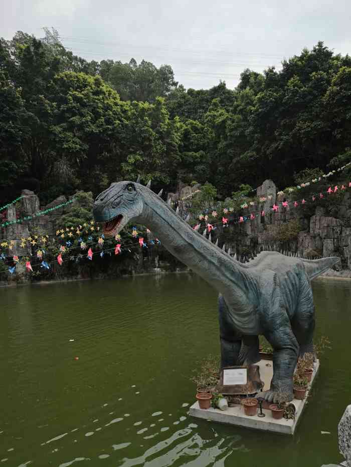 求水山龙之谷-"之前电商平台上做活动,买了一张龙之谷