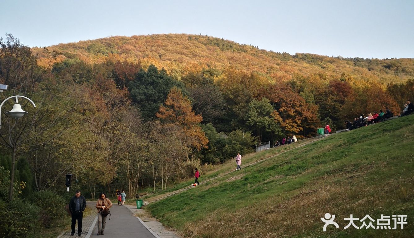 天然氧吧—岘山森林公园