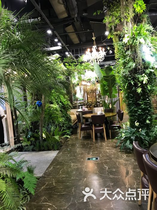 森泰美美森林餐厅图片 第2张