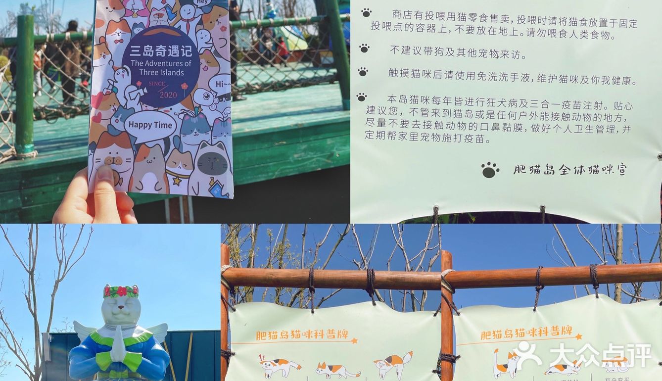 淮安旅游除日本猫岛以外吸猫自由的肥猫岛