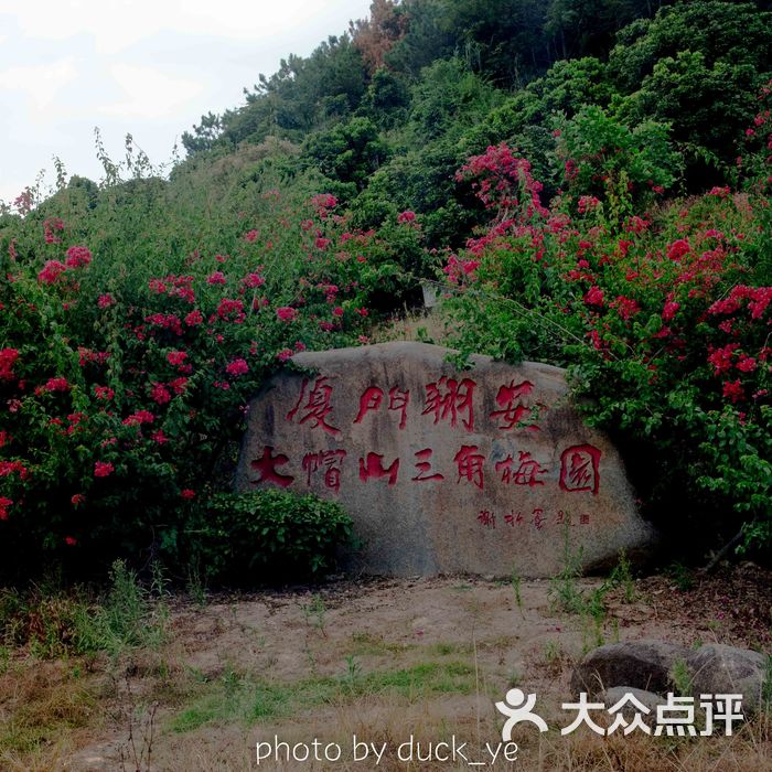 大帽山三角梅园