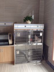 名望宠物医院(江北精品店)(图)-重庆-第页-大众