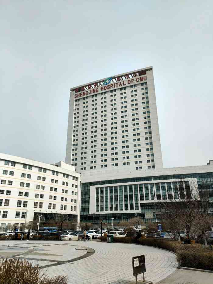 沈阳医大二院就是现在的中国医大盛京医院,沈阳一共有三个院区,南湖院