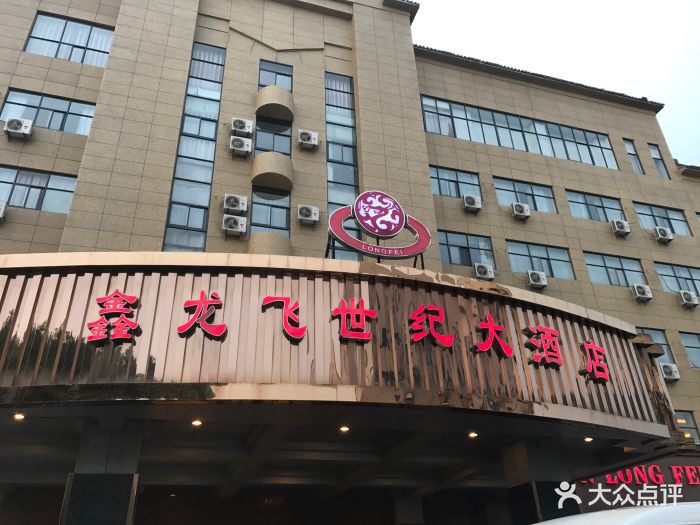 鑫龙飞世纪大酒店图片 第130张