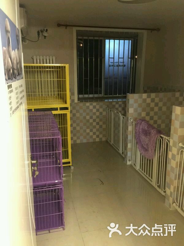 Pet House宠物美容工作室-寄养室图片-北京宠物