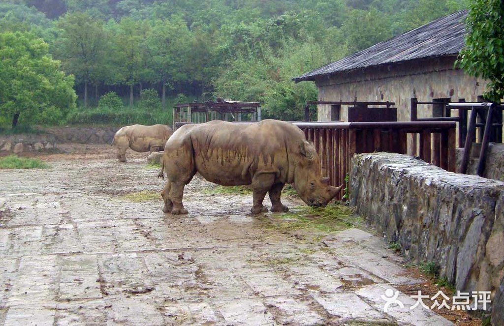 杭州野生动物园3