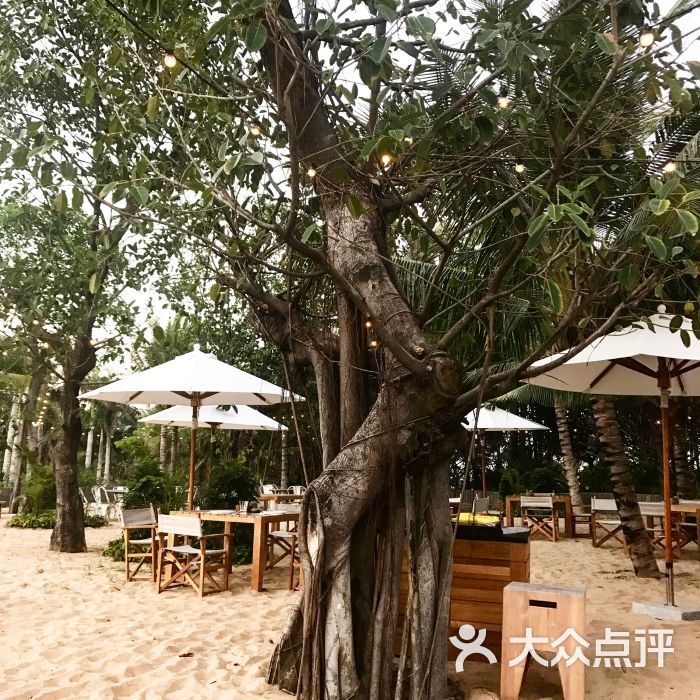 三亚晋合艾迪逊酒店-海滩烧烤 Beach Barbaco